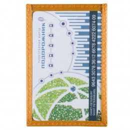 Чехол для карточки Apache