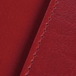 Обложка для паспорта Nebraska