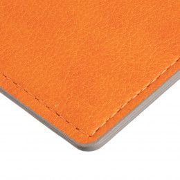 Обложка для паспорта Petrus