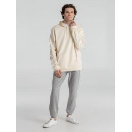 Толстовка с капюшоном унисекс Hoodie