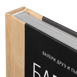 Книга «Барбекю. Закуски
