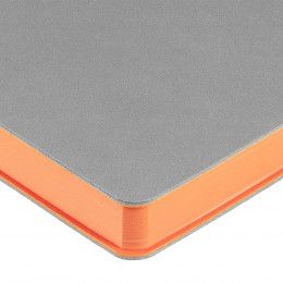 Ежедневник Flexpen