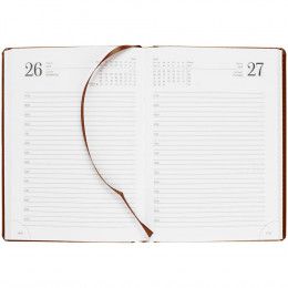 Ежедневник New Nebraska