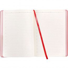 Ежедневник Shall Light