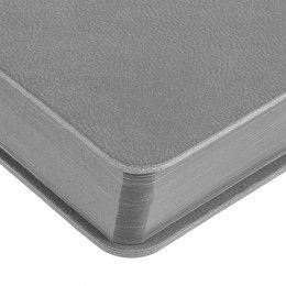 Ежедневник Flexpen Color