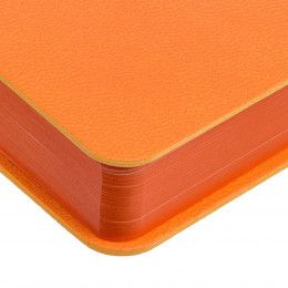 Ежедневник Flexpen Color