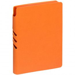 Ежедневник Flexpen Color