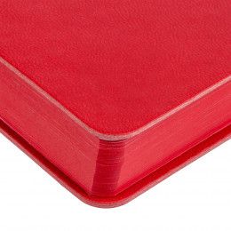 Ежедневник Flexpen Color