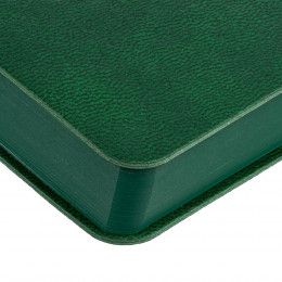 Ежедневник Flexpen Color