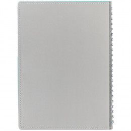 Ежедневник Spring Shall