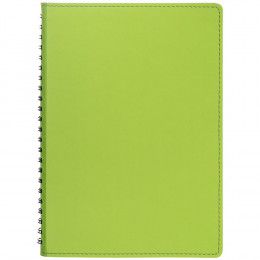 Ежедневник Spring Shall