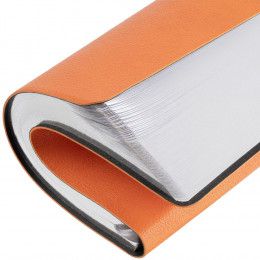 Ежедневник Petrus