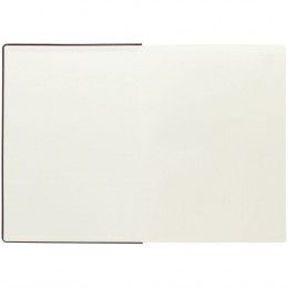 Ежедневник Grand Nebraska