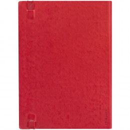 Ежедневник Vivian ver.1