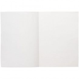 Ежедневник Flat Light