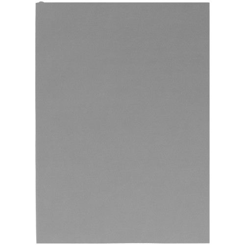 Ежедневник Flat Light, недатированный, серый
