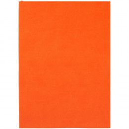 Ежедневник Flat Light