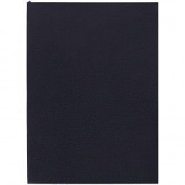 Ежедневник Flat Light