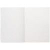 Ежедневник Flat Light, недатированный, черный