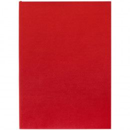 Ежедневник Flat Light