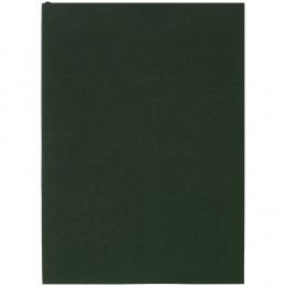 Ежедневник Flat Light