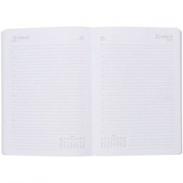 Ежедневник Flex Shall