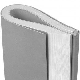 Ежедневник Flat Maxi