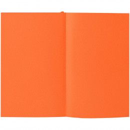 Ежедневник Flat Mini