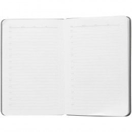 Ежедневник Flexpen Mini