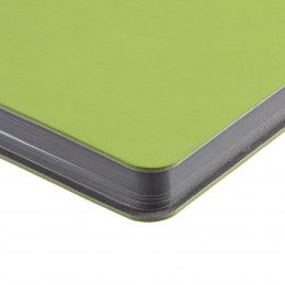 Ежедневник Flexpen Mini