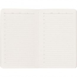 Ежедневник Eco Write Mini