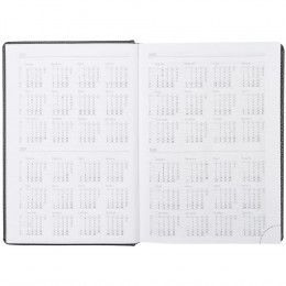 Ежедневник Sagrin