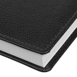 Ежедневник Sagrin