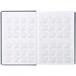 Ежедневник Sagrin