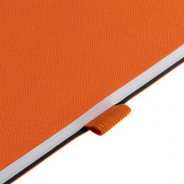 Ежедневник Loop