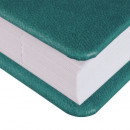 Ежедневник Brand