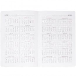 Ежедневник Basis