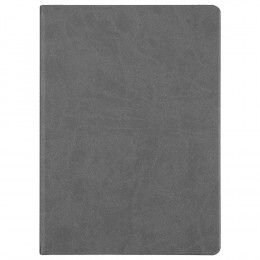 Ежедневник Basis