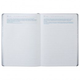 Ежедневник «Исторический»