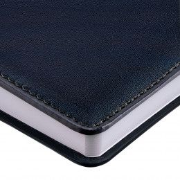 Ежедневник Termini