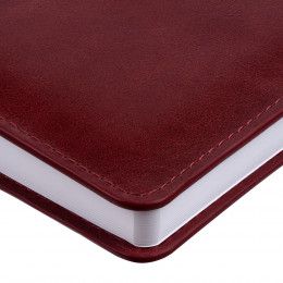 Ежедневник Termini