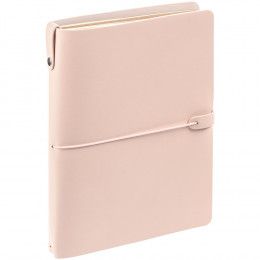 Органайзер Manifold