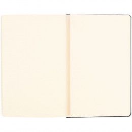 Записная книжка Moleskine Classic Large