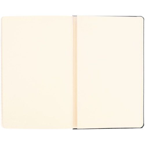 Записная книжка Moleskine Classic Large, в клетку, черная