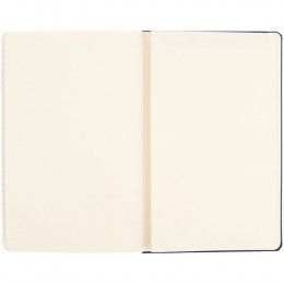 Записная книжка Moleskine Classic Large