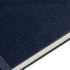 Записная книжка Moleskine Classic Large, в клетку, синяя