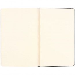 Записная книжка Moleskine Classic Large