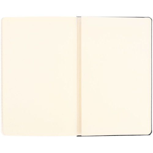 Записная книжка Moleskine Classic Large, без линовки, черная