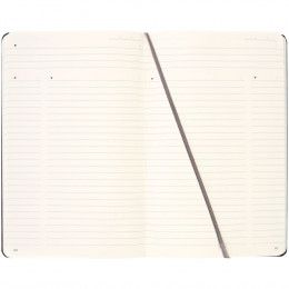 Записная книжка Moleskine Professional Large