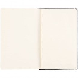 Записная книжка Moleskine Professional Large